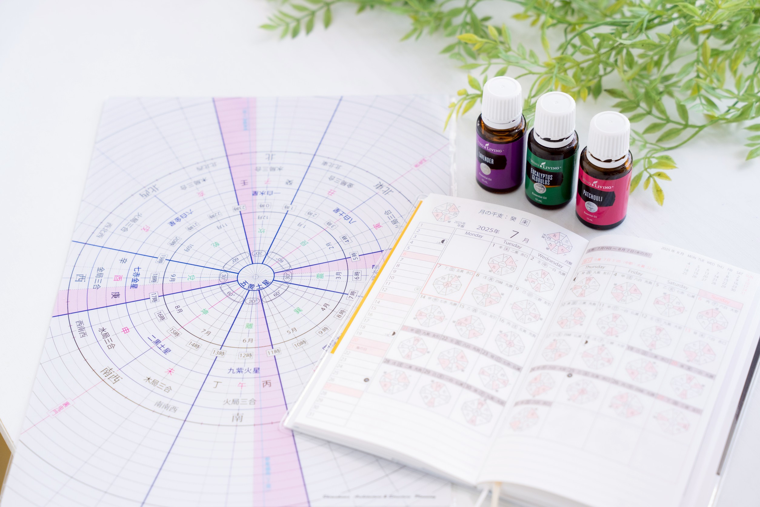 九星気学セッション